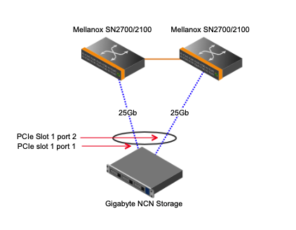 Diagram of Gigabyte Storage Node Cabling